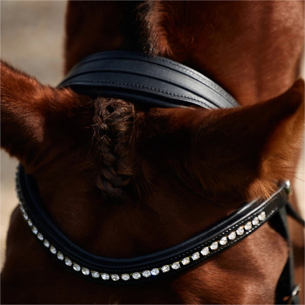 2026 Dublin Padded Comfort Crown Patent Flash Bridle 1031499 - Black
